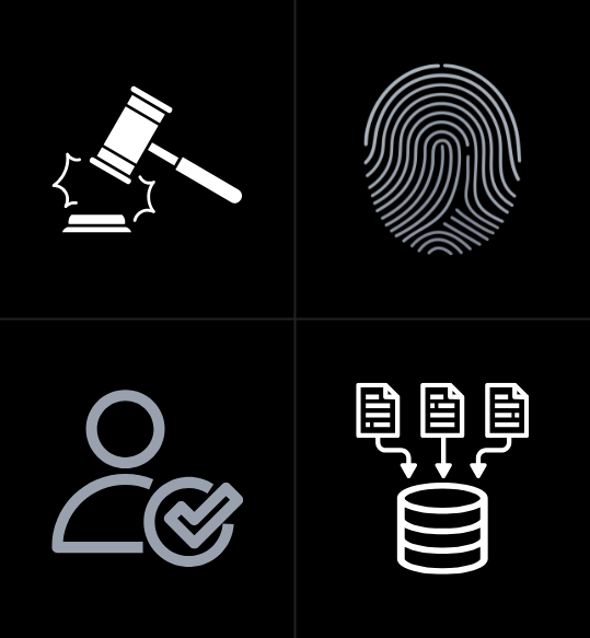 AI Data Privacy Audit