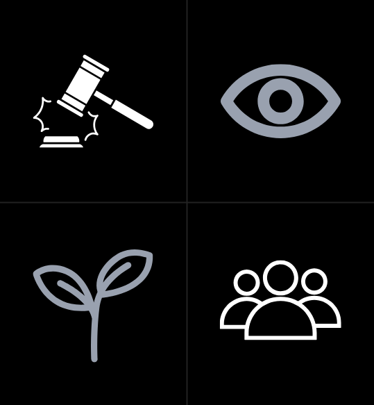 AI Impact Assessment